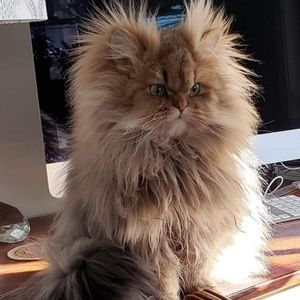 Meet your Posher, Emy